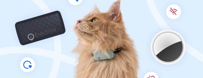 Tractive vs AirTag for cats graphic