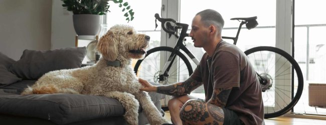 A man sitting with a dog wearing a Tractive GPS & Health tracker
