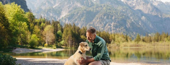 A man comforting a dog in heat wearing a Tractive GPS tracker