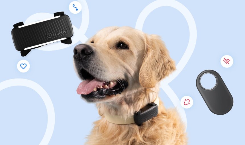 Infografik fra Tractive: Samsung SmartTag vs. Tractive GPS Smart Tracker til hunde og katte
