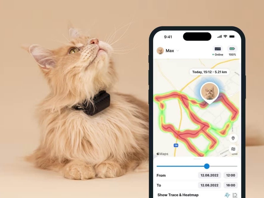 A cat's Heat Map data on the Tractive mobile app