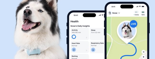 dog wearing a Tractive fitness tracker for dogs, two app screens in the foreground (health monitoring and live tracking)