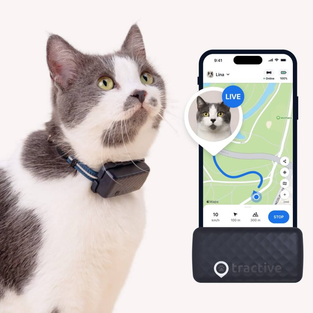 kat if&oslash;rt Tractive Smart GPS Kattetracker, kattesporingsapp-sk&aelig;rmbillede og kattesporingshalsb&aring;nd