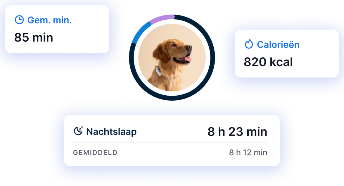 ACTIVITEITEN- EN SLAAPMONITORING
