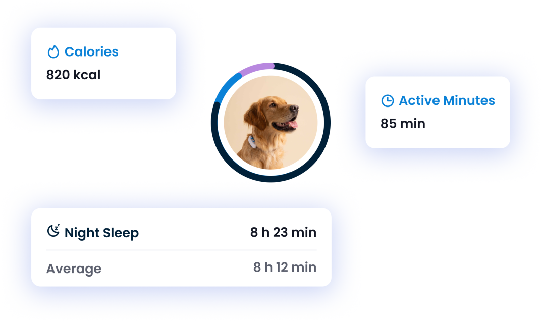 ACTIVITY & SLEEP MONITORING