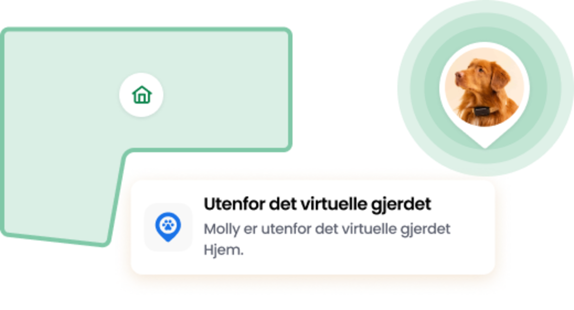 Virtuell gjerdefunksjon
