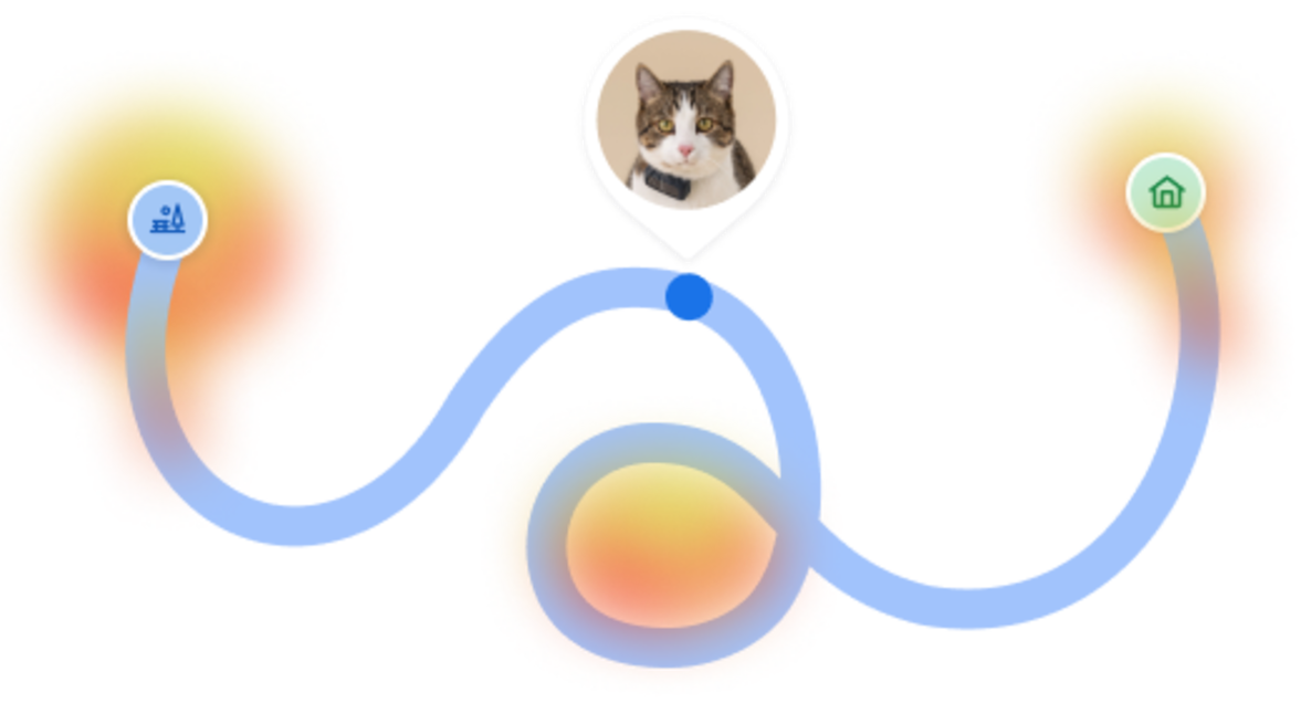 Map outline with white streets