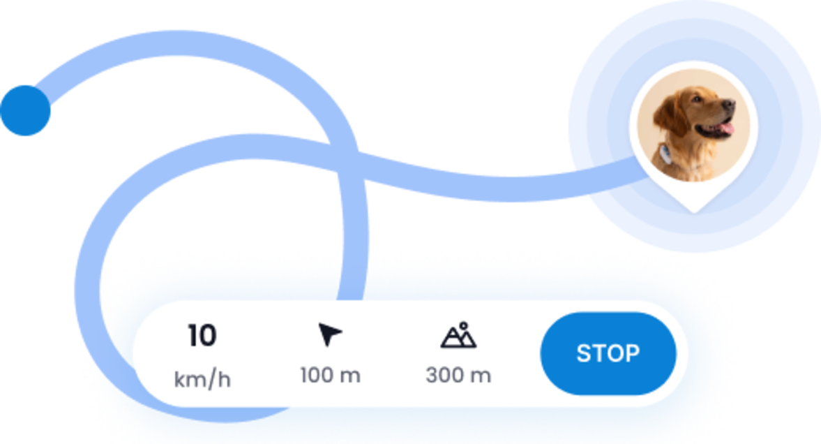 Live-Tracking-Funktion